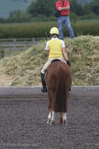 ISIS Dressage Challenge 2008